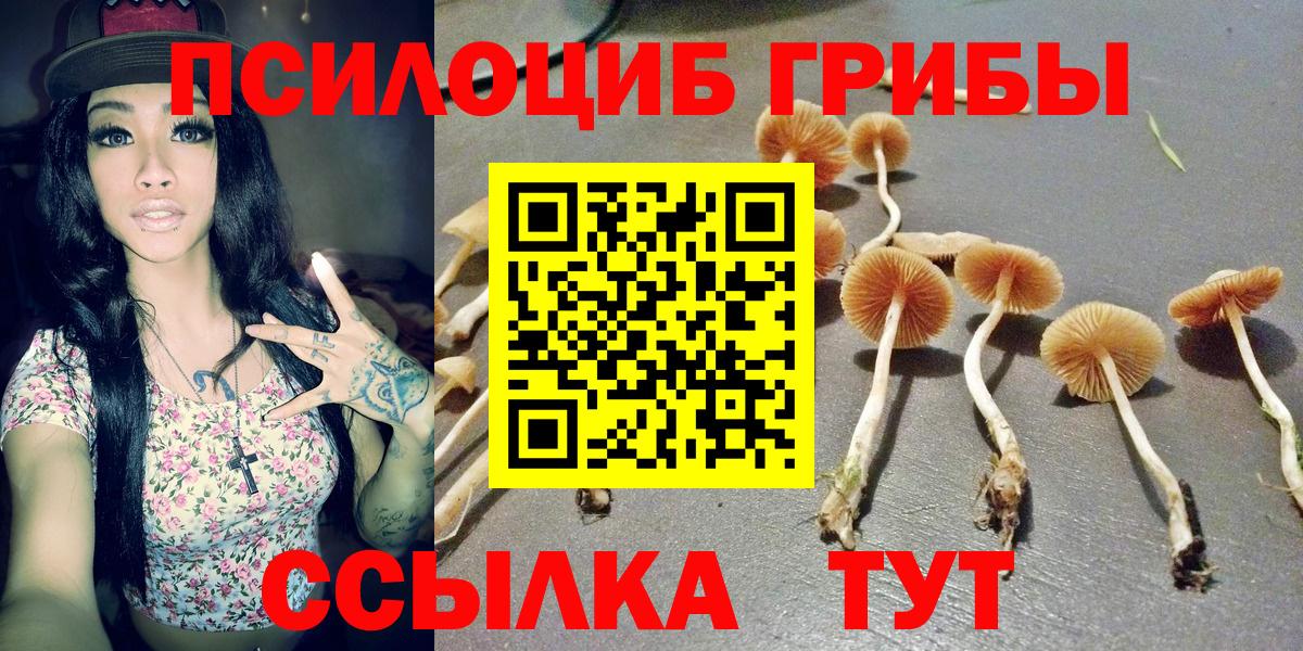 Скопин  Псилоцибиновые грибы мицелий  Вход с VPN 